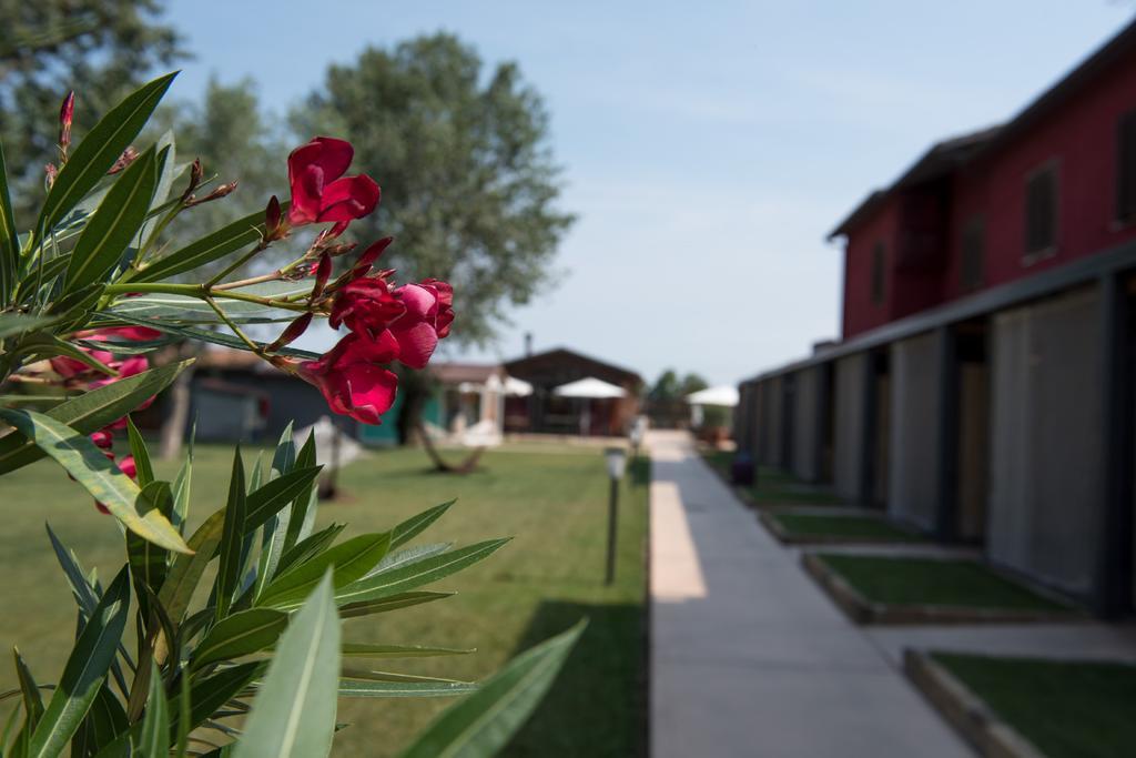 Country Resort Le Due Ruote Alberese Extérieur photo